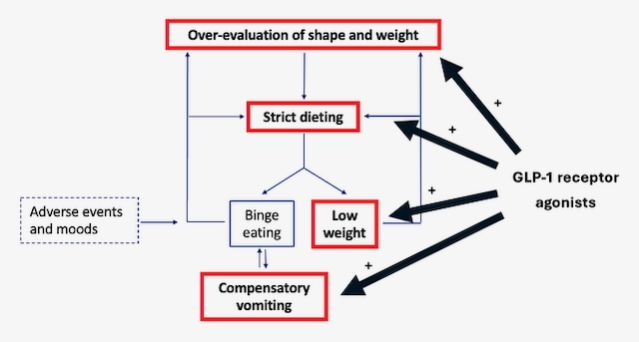Snapshot of Glp-1 And Eating Disorder Psychopathology Binge Eating Disorder Management